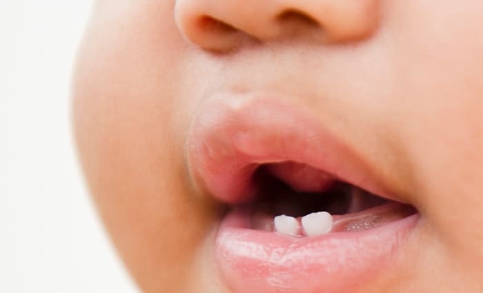 Tooth powder for store babies