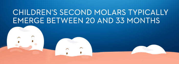 Babies Get Second Molars
